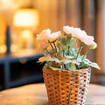 Estrella Del Mar Iii